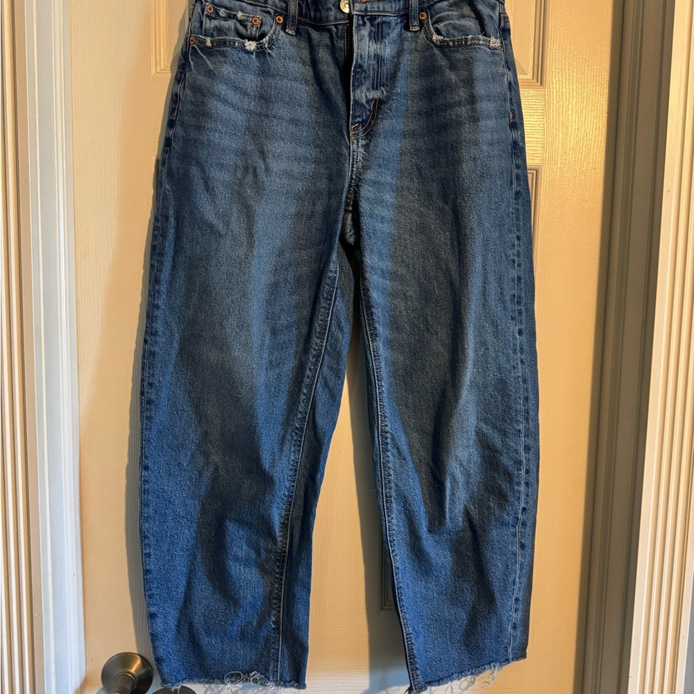 American Eagle Outfitters Barrel Jeans